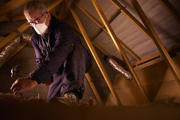 Best Commercial Insulation in Windsor, NC